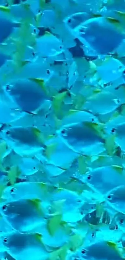 A vibrant school of blue fish swimming in a colorful underwater scene.