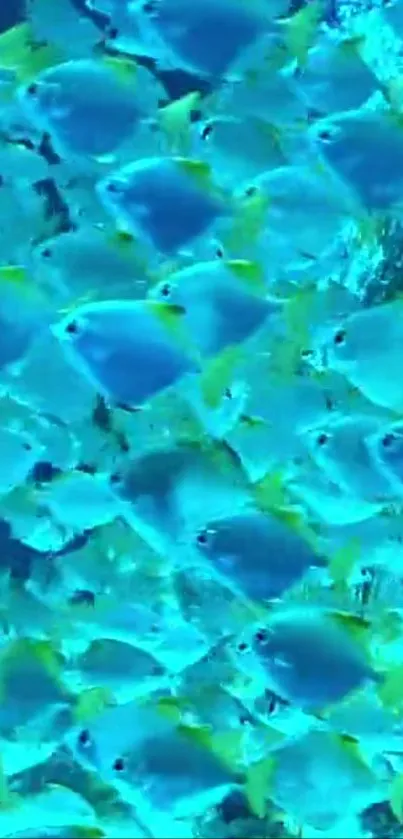 Vibrant blue fish swimming in a colorful underwater scene.