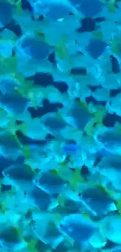 Blue fish swimming against a cyan background wallpaper.