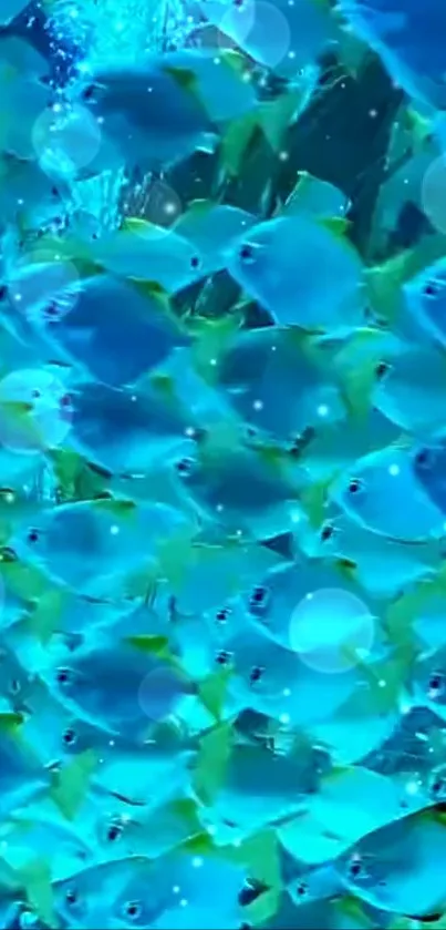 Vibrant blue fish swimming in an underwater scene wallpaper.