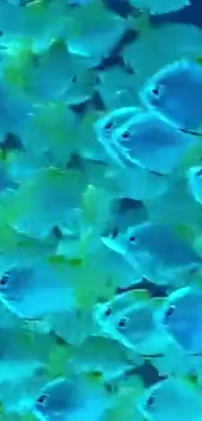 An underwater swarm of vibrant blue fish swimming together.