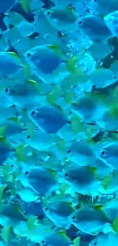 Vibrant blue fish swimming underwater in calm ocean setting.