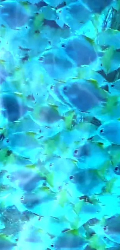 Vibrant blue school of fish swimming underwater in a seamless pattern.