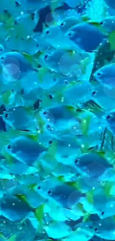 Vibrant school of blue fish swimming underwater in an aquamarine ocean setting.