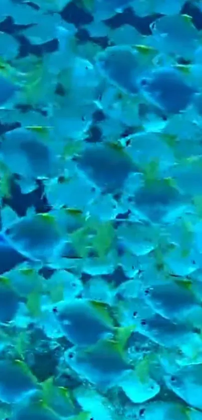 Vibrant blue fish swimming underwater in a mesmerizing sea scene.