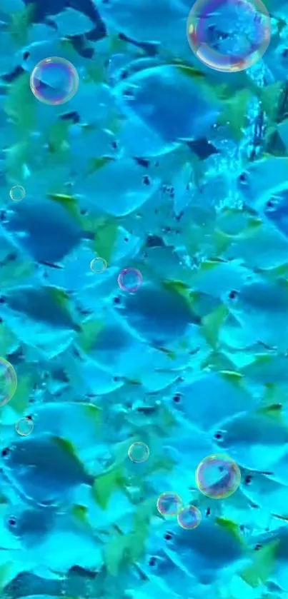 Vibrant blue fish swimming underwater with bubbles in a tranquil scene.