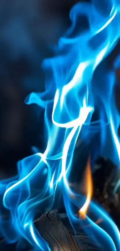 Vibrant blue flames with hints of orange.