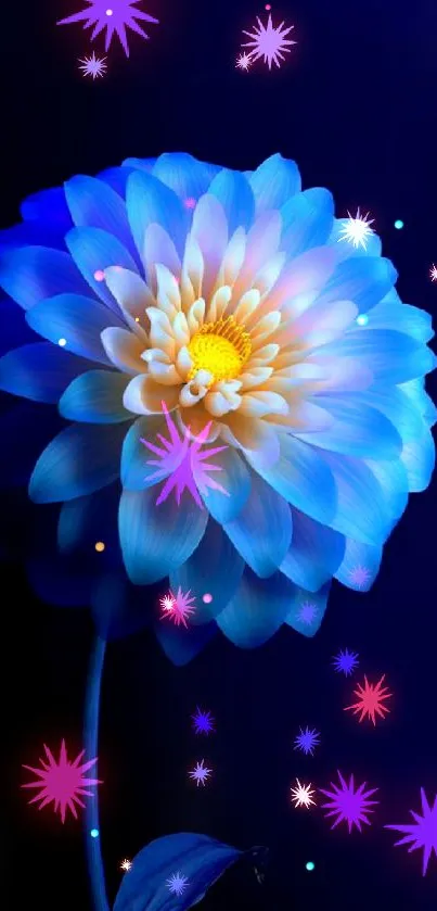 Vibrant blue and yellow flower on a dark background.