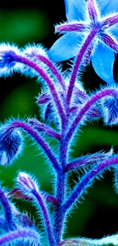 Vibrant blue flower with purple stems on green background.