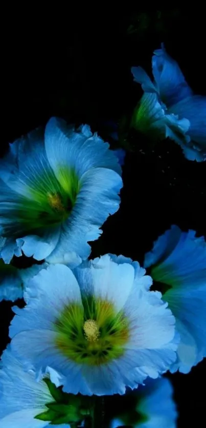 Vibrant blue floral wallpaper on dark background.