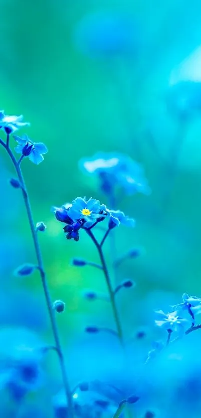 Vibrant blue floral mobile wallpaper with nature setting.