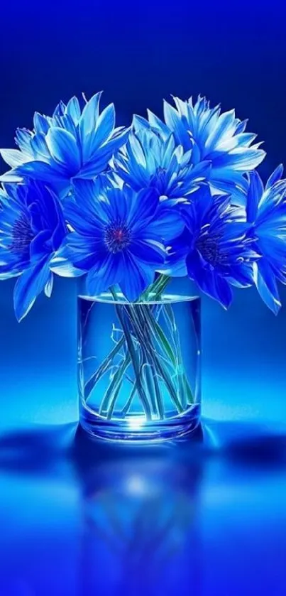 Vibrant blue flowers in a glass vase against a vivid blue background.