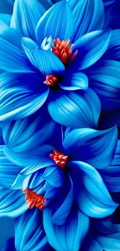 Vibrant blue floral wallpaper with red centers and detailed petals.