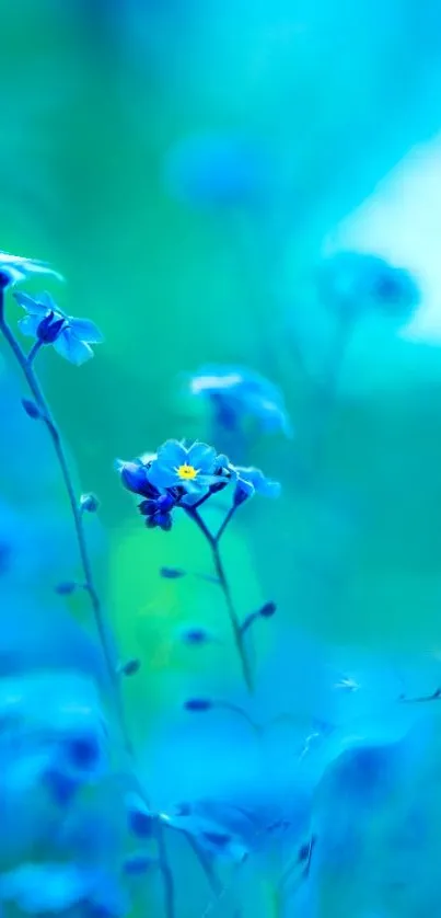 Vibrant blue flowers in serene nature scene.