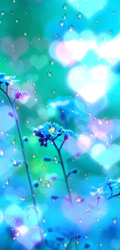 Blue flowers with rain droplets and a blurred, dreamy background.