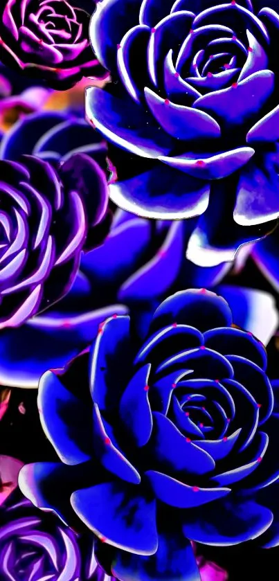 Vibrant blue floral wallpaper with bold succulent design.