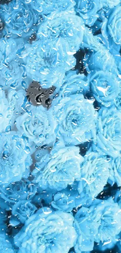 Bright blue floral wallpaper with soft blooms and rich texture.