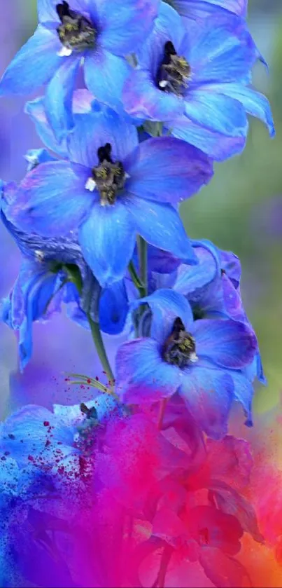 Vibrant blue flowers with colorful background in phone wallpaper design.