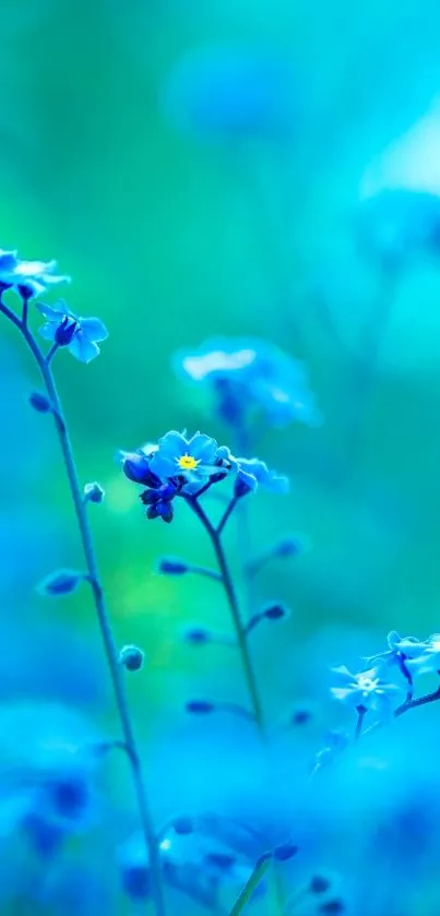 Vibrant blue floral wallpaper with delicate flowers.