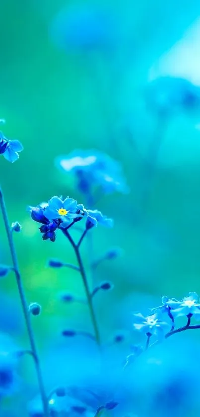 Vibrant blue floral wallpaper with delicate flowers in focus.