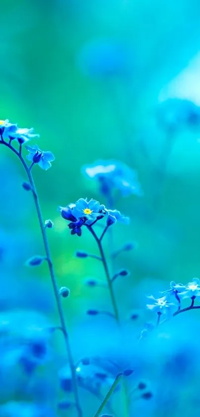 Vibrant blue floral wallpaper with delicate wildflowers and soft focus.
