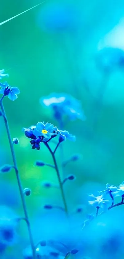 Beautiful blue floral wallpaper with delicate flowers and a serene background.