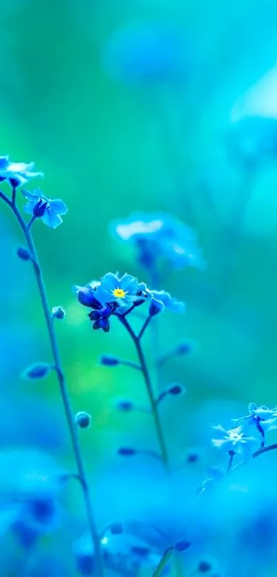 Vibrant blue flowers in a serene natural setting for mobile wallpaper.