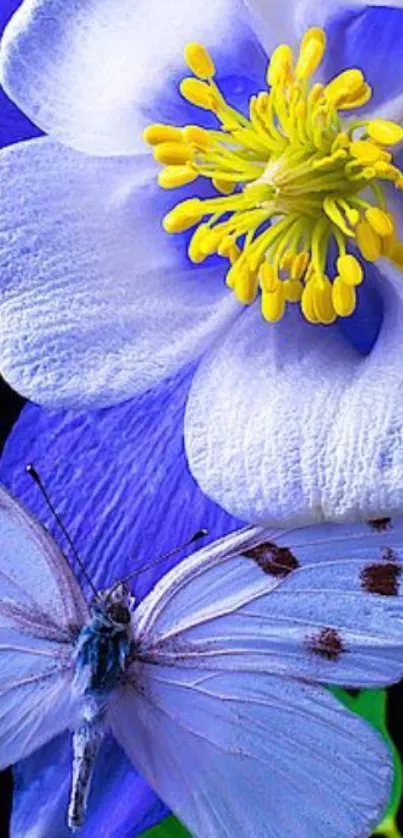 Blue flower and butterfly mobile wallpaper with vibrant colors.