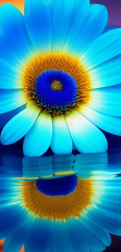 Vibrant blue flower with reflections on water in a colorful sunset background.