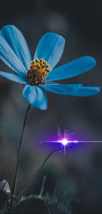 Mobile wallpaper featuring a vibrant blue flower with a purple glow.