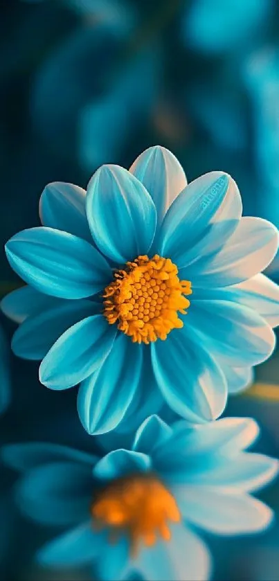 Close-up of a vibrant blue flower with a yellow center.
