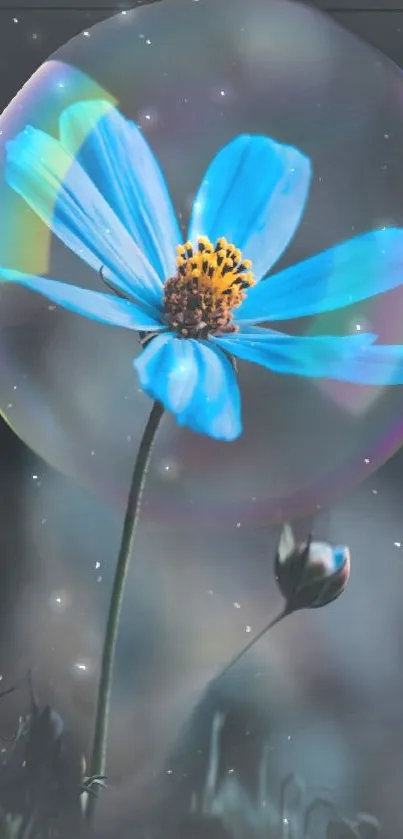 Blue flower in bubble with starry background design.