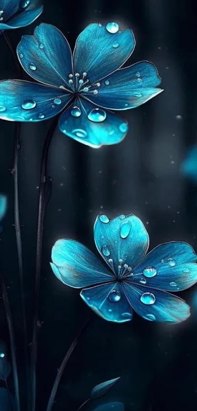 Vibrant blue flowers with dewdrops on dark background.