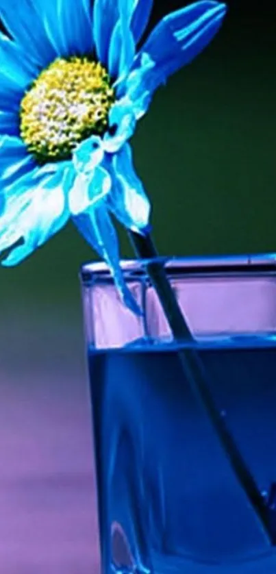 Vibrant blue flower in a glass against a blurred background.