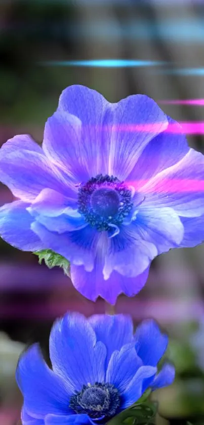 Vibrant blue flower with neon accents wallpaper.