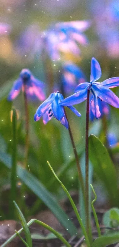 Delicate blue flowers with lush green leaves in vibrant sunlight on a mobile wallpaper.