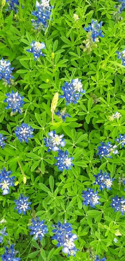 Beautiful green and blue floral wallpaper for mobile.