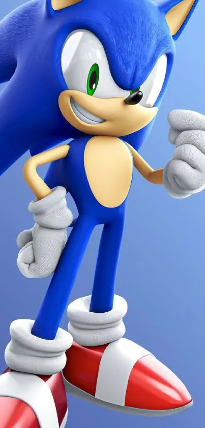 Blue animated hedgehog in dynamic pose wallpaper.