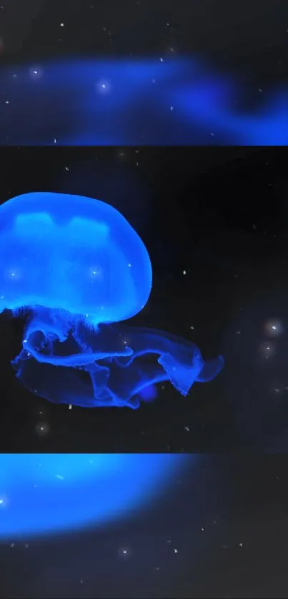 Glowing blue jellyfish floating in dark ocean, perfect for a mobile wallpaper.