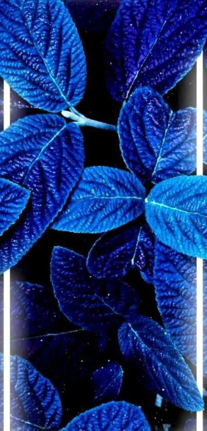 Blue leaves with glowing geometric pattern on a phone wallpaper.