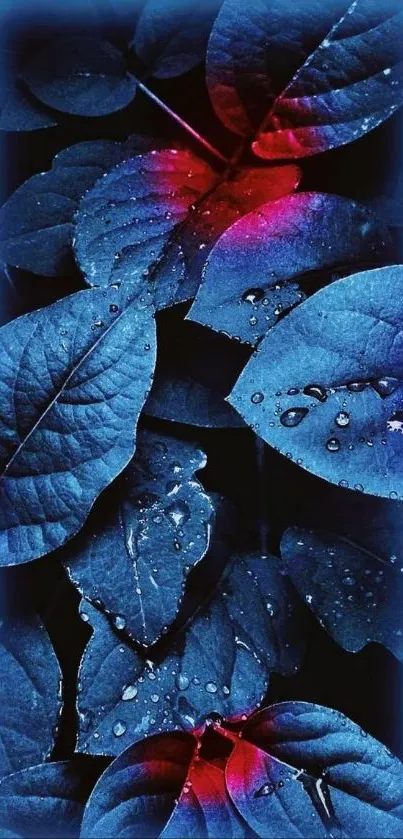 Blue leaves with neon highlights mobile wallpaper.