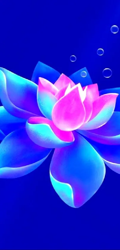 Vibrant lotus flower on deep blue background.