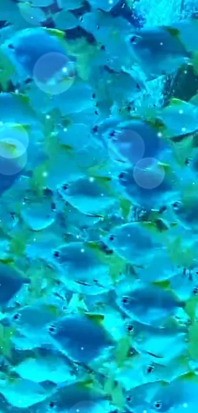 A vibrant school of blue fish swimming in a clear ocean background.