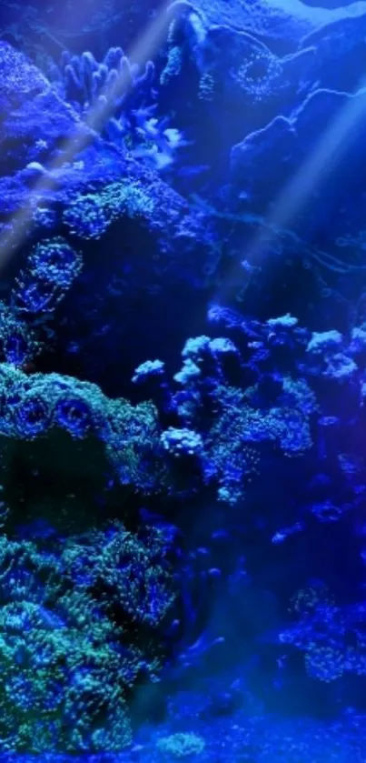Vibrant blue ocean reef wallpaper with coral formations.