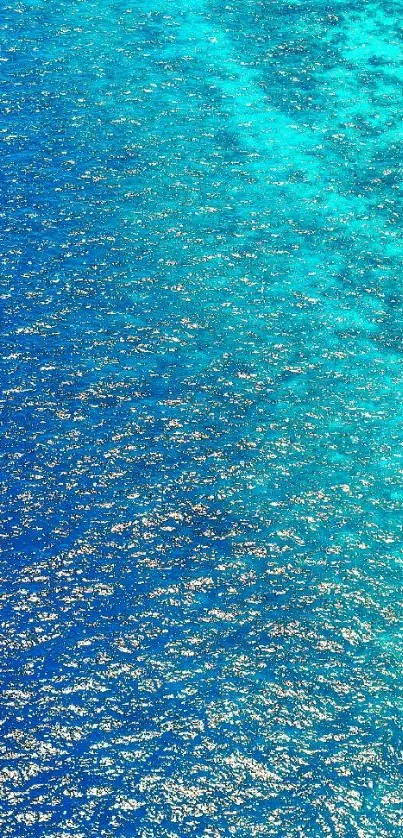 Vivid blue ocean waters sparkled by the sun.