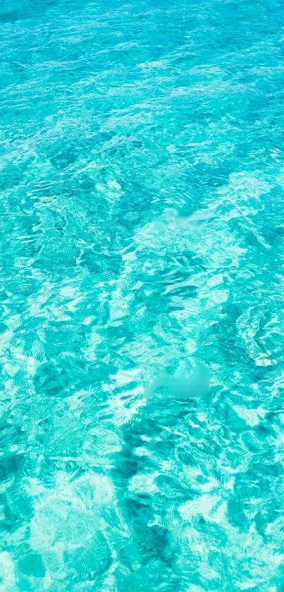 A vibrant blue ocean with clear, calming water ripples.