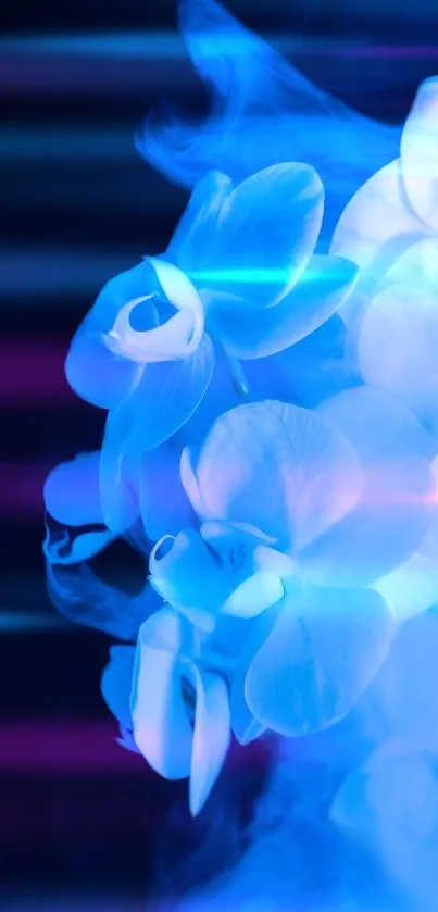 Vibrant blue orchid with abstract digital lighting effect.