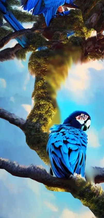 Blue parrot perched on a branch against a cloudy sky.