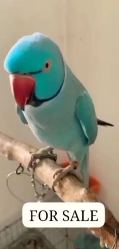 A vibrant blue parrot perched on a branch.