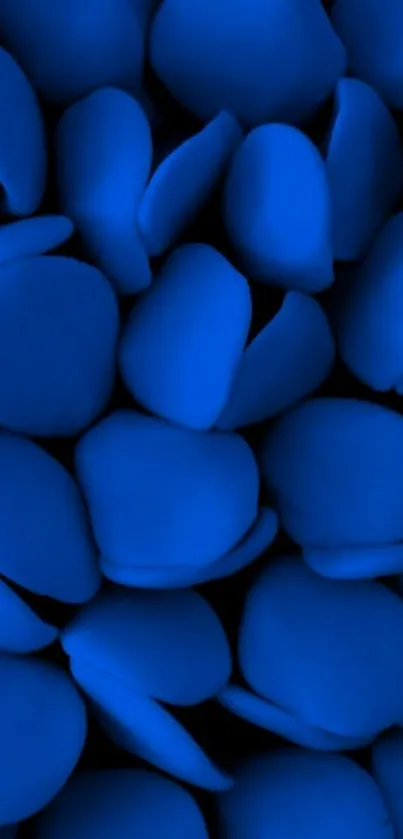 Vibrant cobalt blue petals forming a modern phone wallpaper.